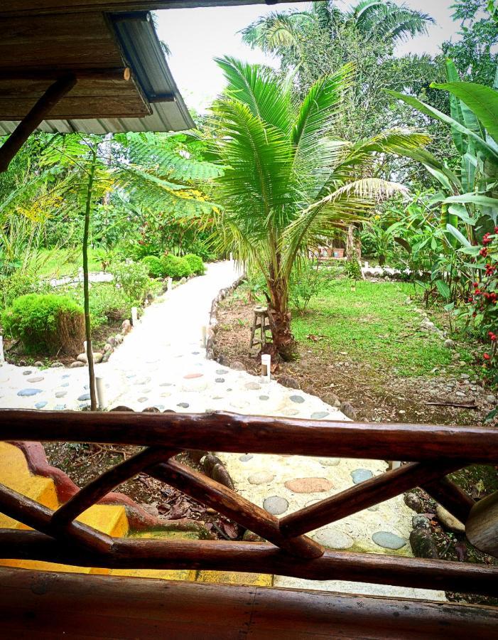 Rio Napo Lodge Puerto Misahuallí Dış mekan fotoğraf